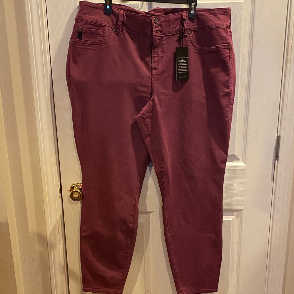 Chic Women's Burgundy Trousers size 24T
861